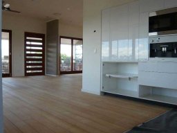 contemporary-pivot-door-entries-24