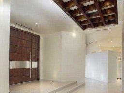 fuseon pivot doors 11